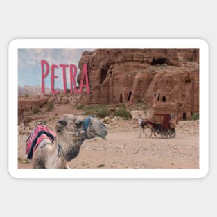 Petra, Jordan Sticker